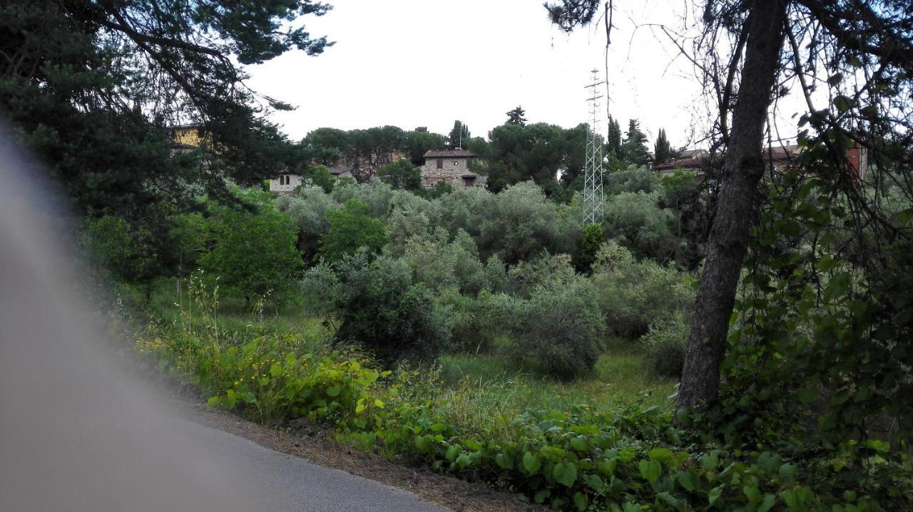 Casa Lilio Apartamento Radda in Chianti Exterior foto