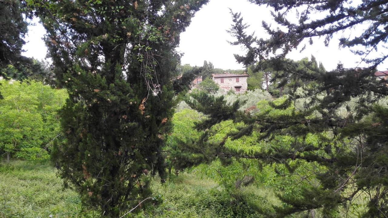 Casa Lilio Apartamento Radda in Chianti Exterior foto